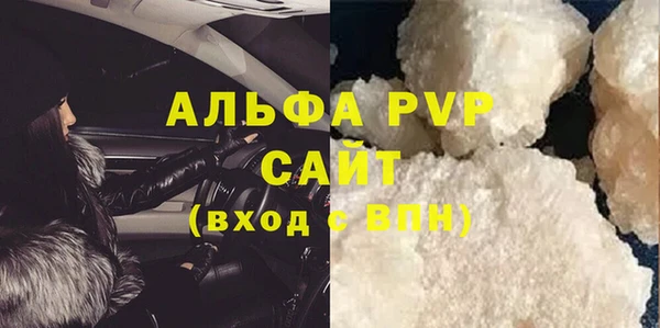 прущие грибы Няндома
