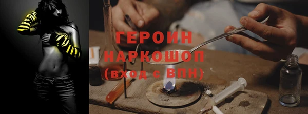 индика Новодвинск