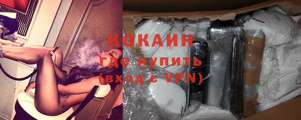 индика Новодвинск