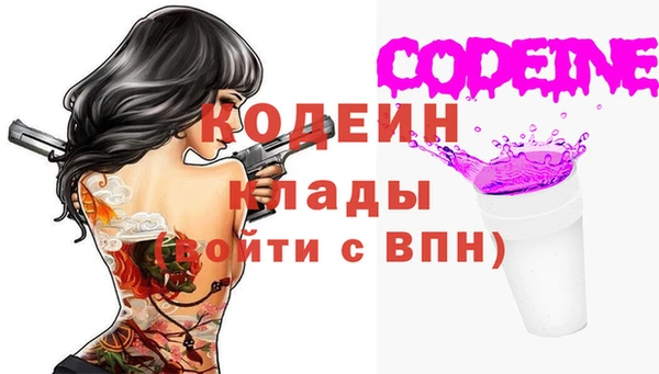 эйфоретик Алзамай