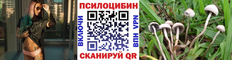 Галлюциногенные грибы Magic Shrooms  продажа наркотиков  Приморск 